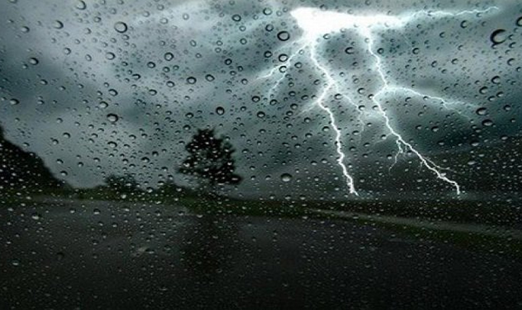 %D9%86%D8%B4%D8%B1%D8%A9 %D8%B1%D8%B9%D8%AF%D9%8A%D8%A9