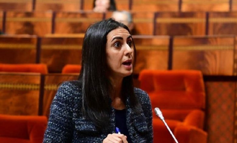 فتاح العلوي: استثمار عمومي قياسي ورهان قوي على إفريقيا