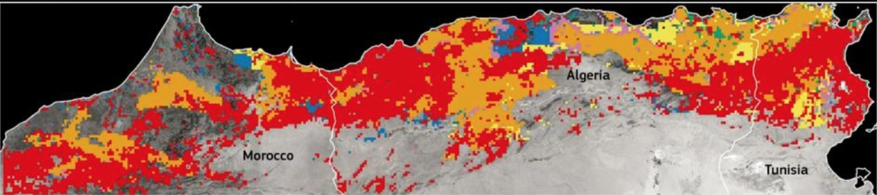 تقرير يحذر دول المغرب العربي من صيف قاسٍ ويدعوه إلى اتخاذ التدابير العاجلة ضد الجفاف