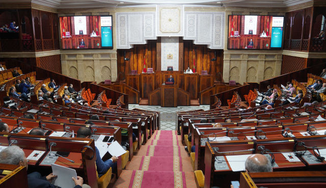 بسبب مضيق هرمز.. وزيرة الطاقة ووزير التجارة أمام البرلمان
