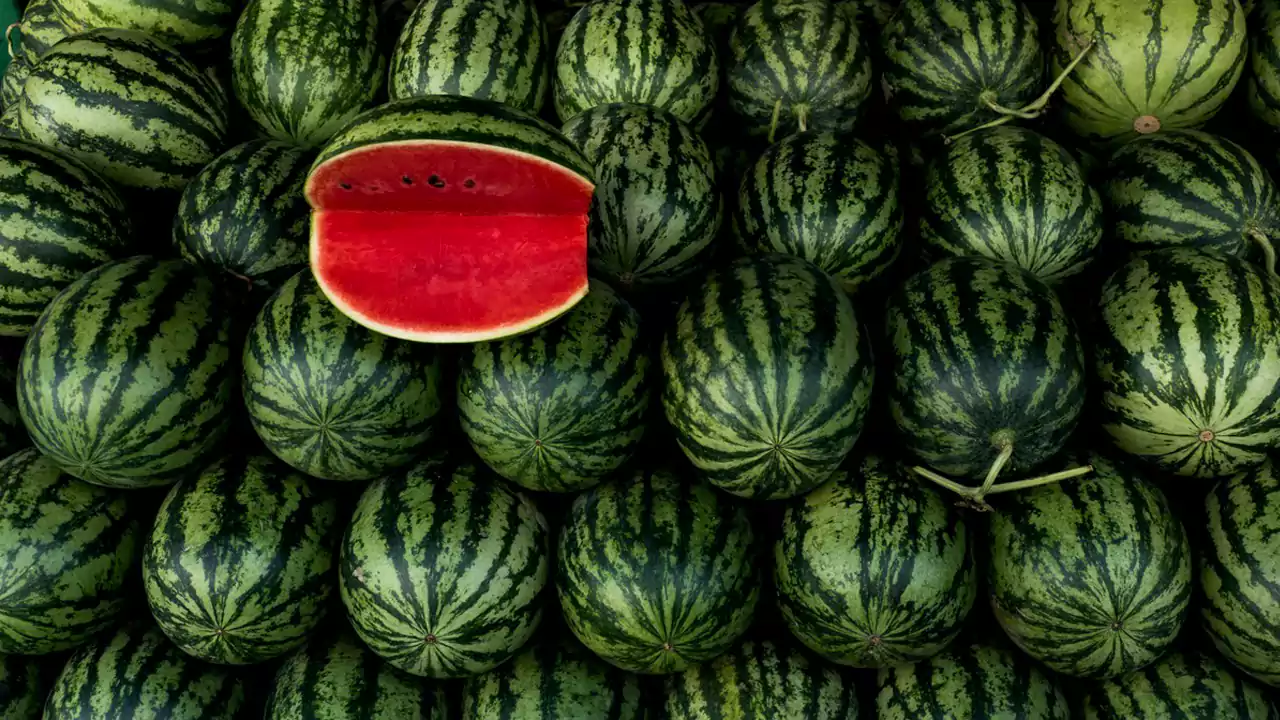 تسممات الدلاح يصل البرلمان.. ومطالب بتكثيف المراقبة الجادة