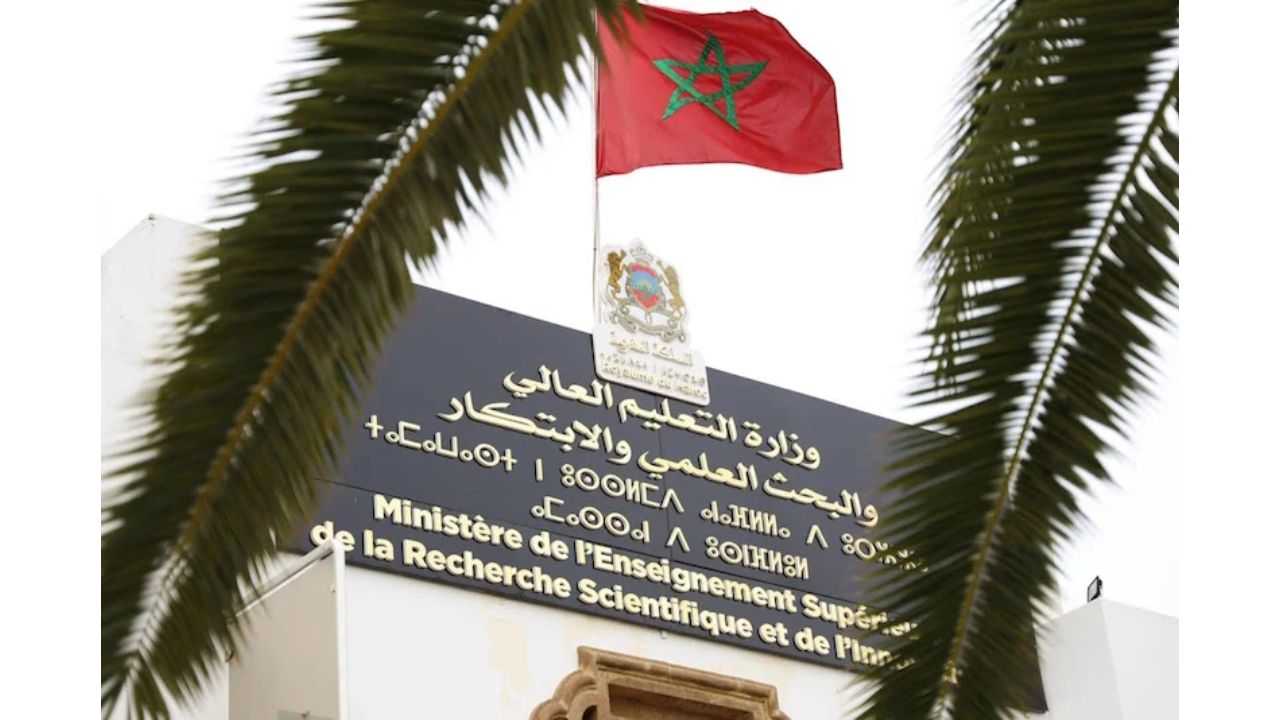 الدستور 18 مشروع قانون التعليم العالي يواجه انتقادات هيئة دستورية