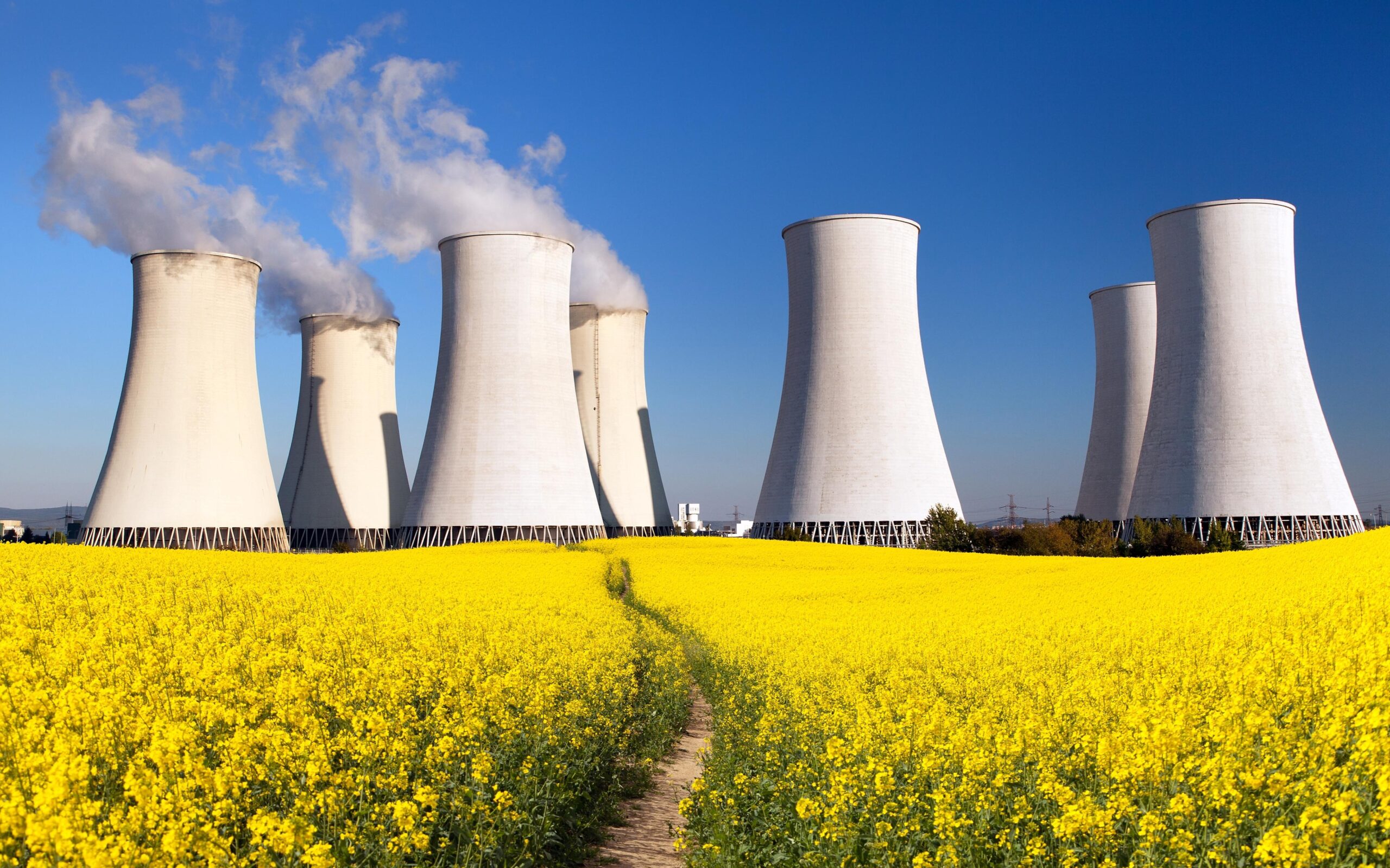 المغرب على أعتاب النووي.. سباق أفريقي نحو الطاقة النظيفة