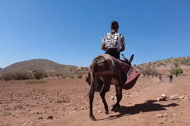 ائتلاف مدني يطالب رئيس الحكومة بإنصاف المناطق الجبلية