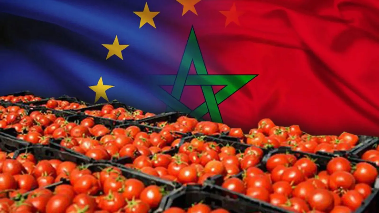 نائبة إسبانية: الواردات المغربية تهدد مستقبل الفلاحين المحليين