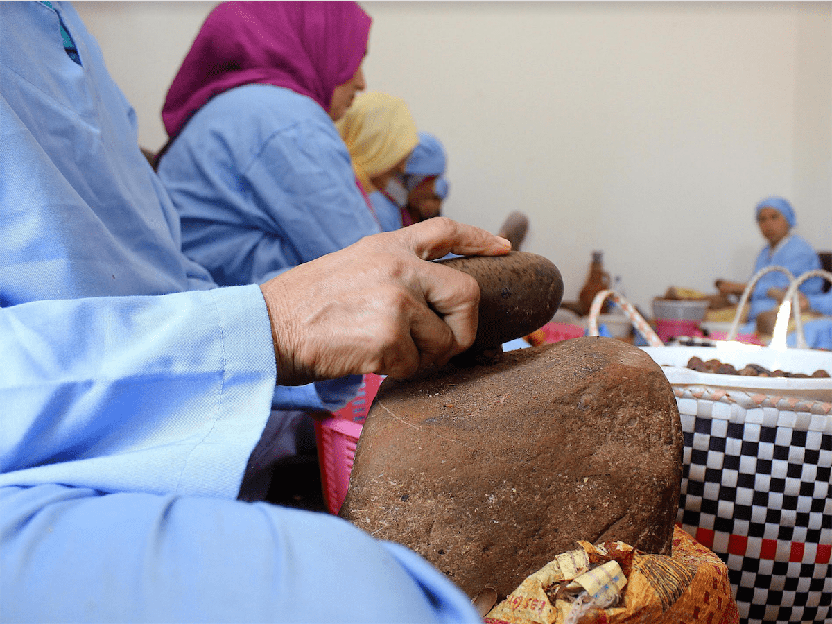 الذهب السائل في خطر.. شجرة الأركان تصرخ من أعماق الجنوب