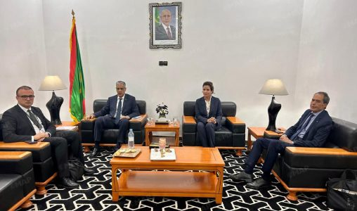 مباحثات مغربية مورتانية لتسريع التعاون فيي الكهرباء والطاقة