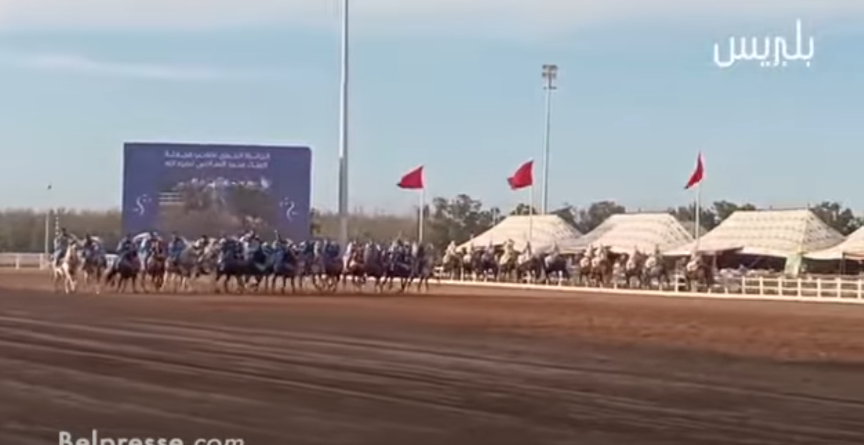 التبوريدة 20 الجديدة: منافسات جائزة محمد السادس للتبوريدة