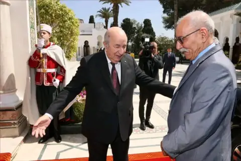 “رقصة الديك المدبوح”..قرار مجلس الأمن يفقد البوليساريو صوابها