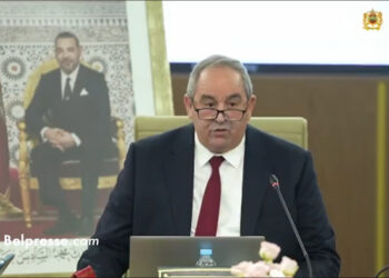 ميداوي: مددنا سنّ التعاقد لـ 330 أستاذا و303 موظفين