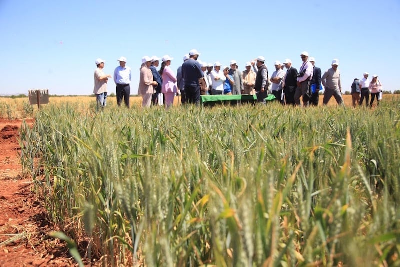 مركز  دراسات يضع المخطط الأخضر في ميزان الإنجازات والاختلالات