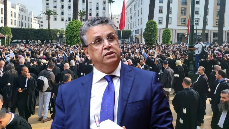 المحامون المحامون