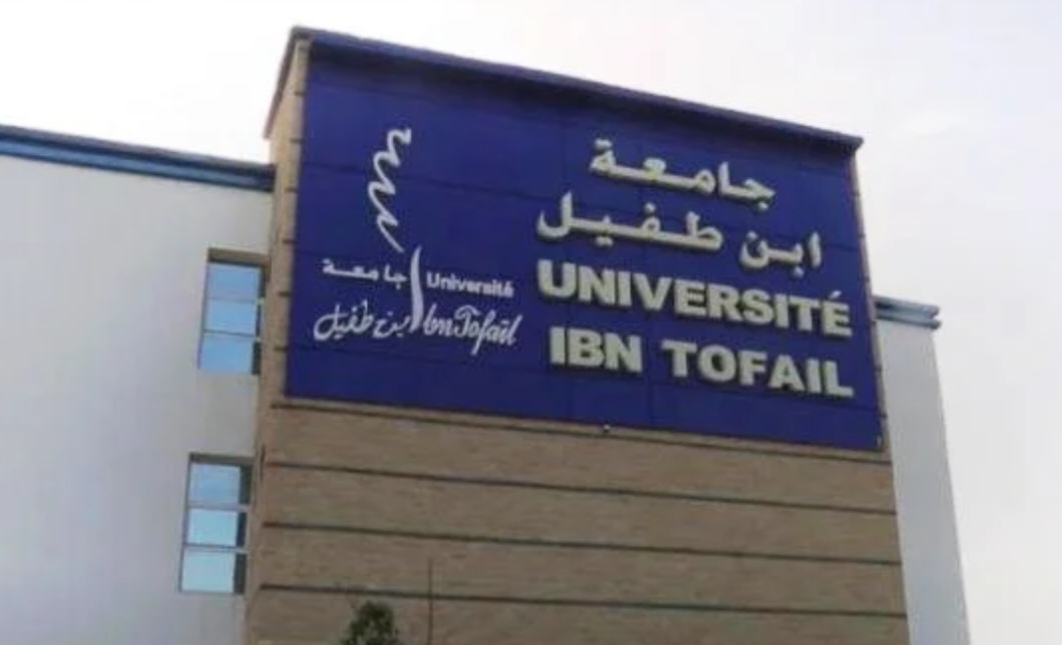 طلبة جامعة ابن طفيل يشلون الدراسة طلبة جامعة ابن طفيل يشلون الدراسة