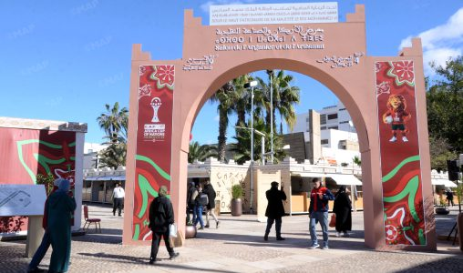 أكادير تحتفي بالأركان..الشجرة الأيقونية بالمغرب