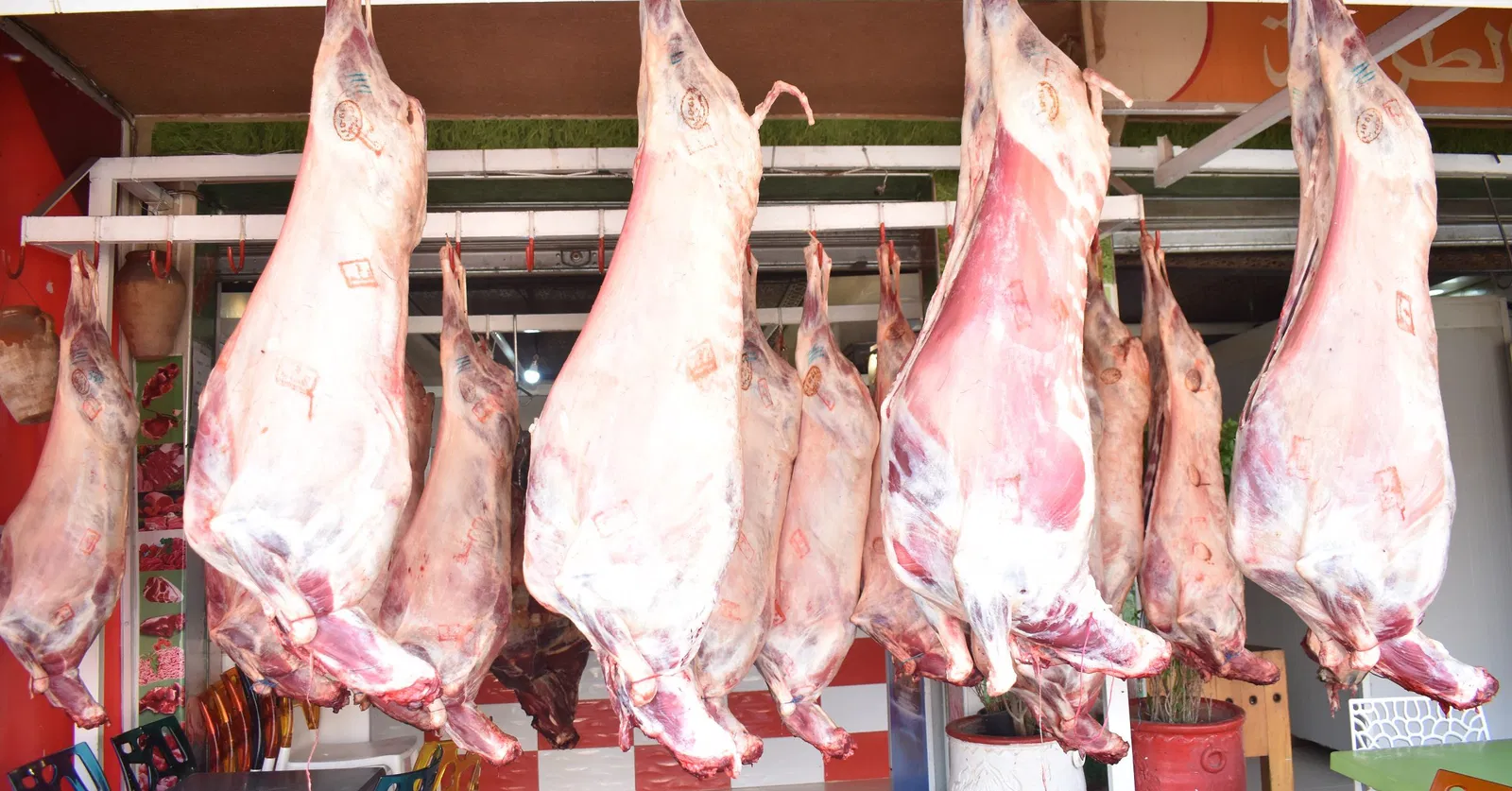 "الفقراء بدون لحوم".. اللحوم الحمراء تقترب من حاجز الـ200 درهما