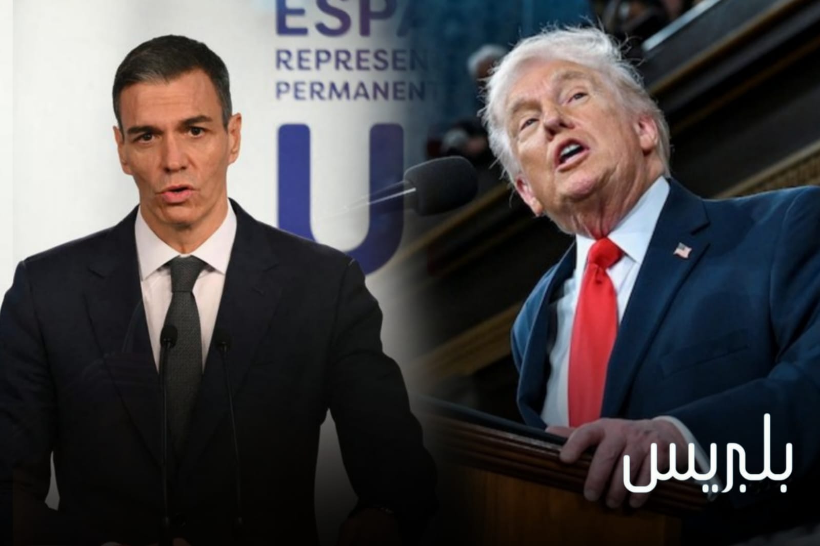 ماذا سيجني المغرب من التوتر بين ترامب وسانشيز؟..شقير يجيب ماذا سيجني المغرب من التوتر بين ترامب وسانشيز؟..شقير يجيب