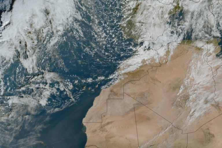 التساقطات التساقطات