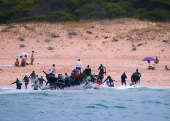 وزارة الداخلية تكشف حصيلة محاولات الـ”حريك” الفاشلة سنة 2025