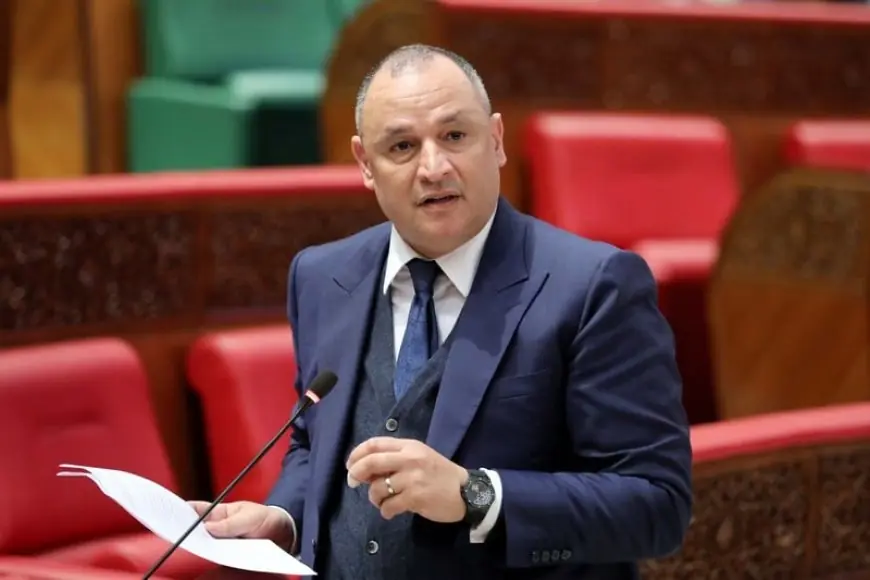 رياض مزور 14 برلماني لوزير التجارة والصناعة: “المغاربة عاقوا”(فيديو)