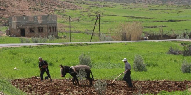 بركة: التنمية القروية تمر عبر مقاربة مندمجة