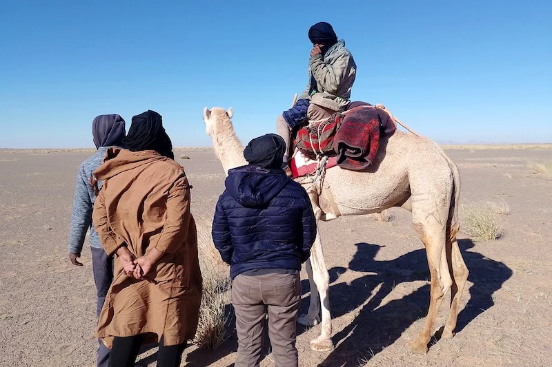 الامم المتحدة 25 تحركات أممية للحد من تهديد الألغام جنوب المملكة
