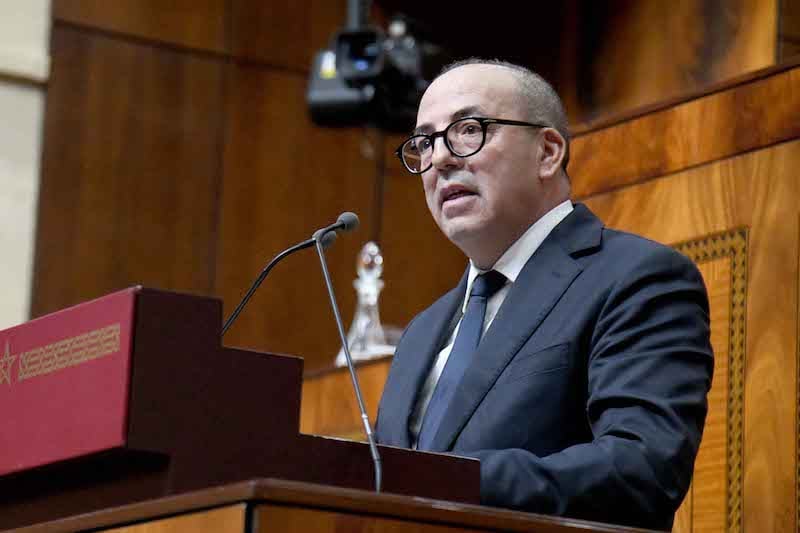 البوراي: المغرب يقترب من 90 مليون قنطار من الحبوب بفضل الأمطار