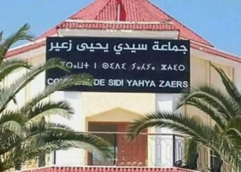سرقة سيارة تابعة لجماعة سيدي يحيى زعير مخصصة لجمع الكلاب الضالة