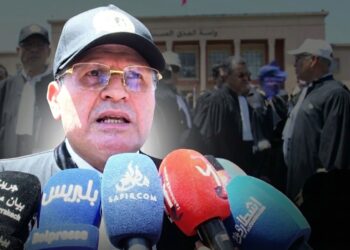 الزياني لبلبريس: لم نتلق دعوة حوار واستقالات النقباء قائمة(فيديو)
