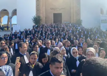 هل سيعاد مشروع قانون المحاماة إلى لجنة العدل من جديد؟ (فيديو)