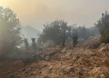 حريق غابوي بأزيلال يستنفر الطائرات وفرق الإطفاء ميدانيًا