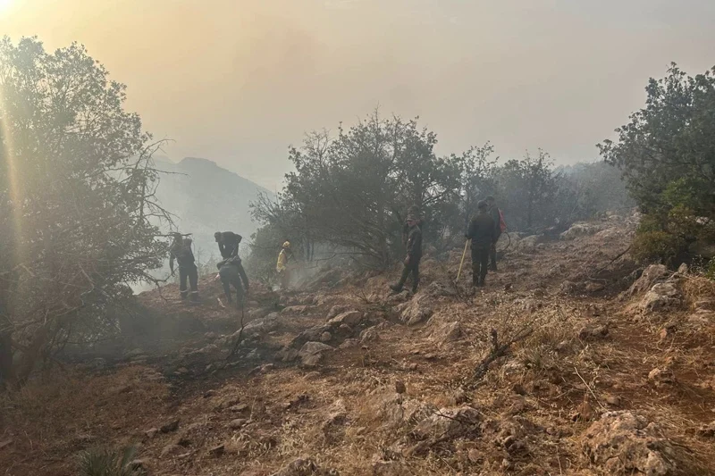 حريق غابوي بأزيلال يستنفر الطائرات وفرق الإطفاء ميدانيًا حريق غابوي بأزيلال يستنفر الطائرات وفرق الإطفاء ميدانيًا