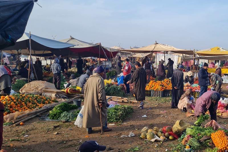 الأحزاب السياسية تُحوّْل الأسواق الأسبوعية بالقرى لساحة تواصل مع الناخبين الأحزاب السياسية تُحوّْل الأسواق الأسبوعية بالقرى لساحة تواصل مع الناخبين