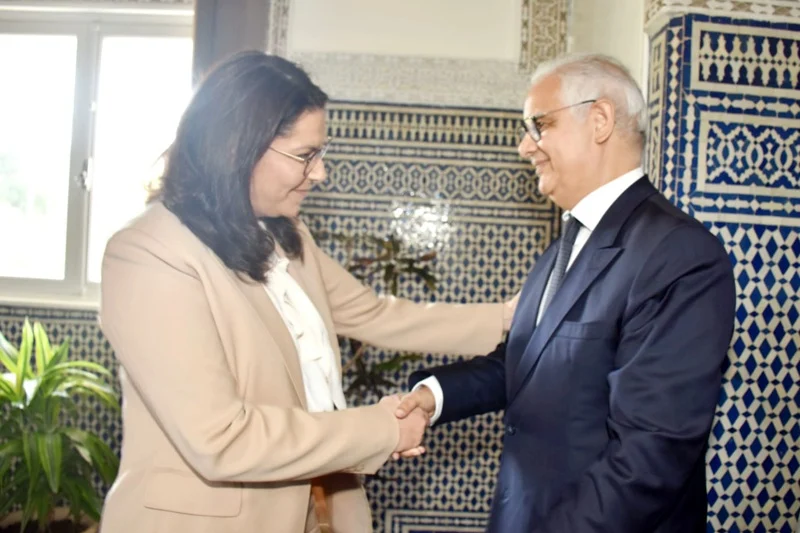 عقب لقائها ببركة..المنصوري تتحدث عن تشكيلة الحكومة المقبلة عقب لقائها ببركة..المنصوري تتحدث عن تشكيلة الحكومة المقبلة
