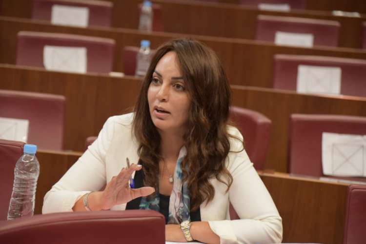 مديحة خيير على رأس الفريق الاستقلالي بمجلس النواب مديحة خيير على رأس الفريق الاستقلالي بمجلس النواب
