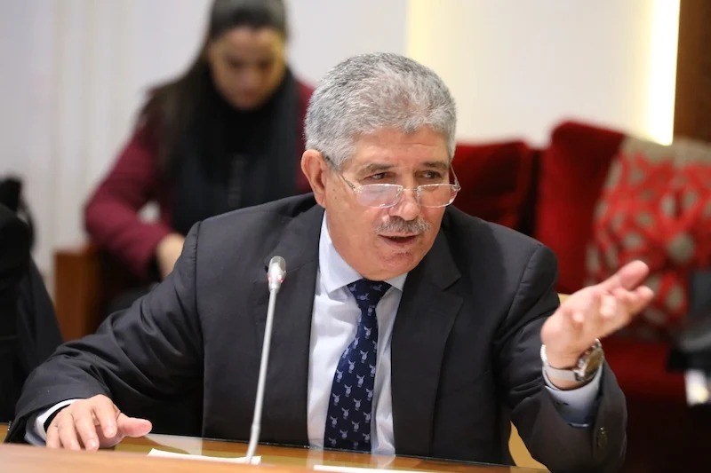 التويزي يكشف ملامح تشكيلة حكومة المنصوري (فيديو) التويزي يكشف ملامح تشكيلة حكومة المنصوري (فيديو)
